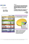 Dollar Sample Statement - Carnival